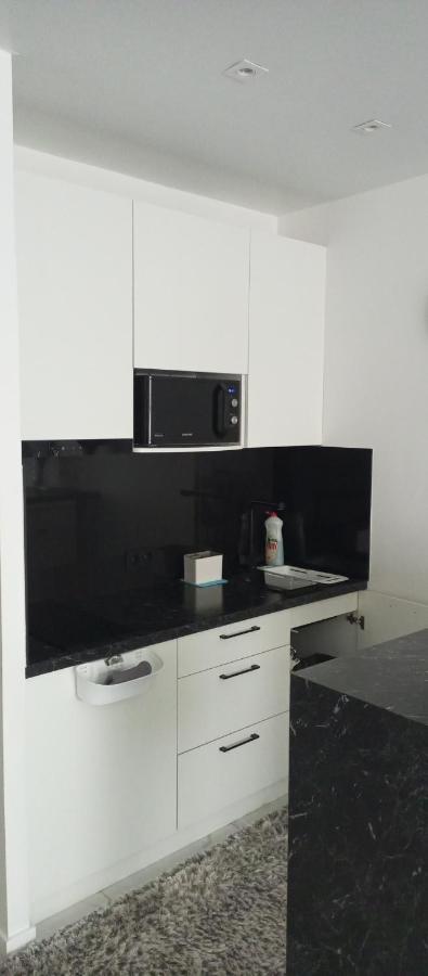 New Modern Apartment ウージュホロド エクステリア 写真