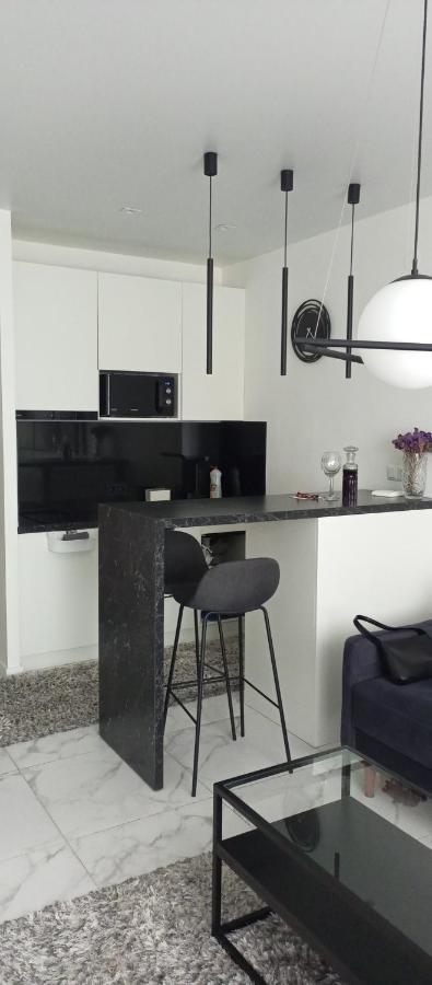 New Modern Apartment ウージュホロド エクステリア 写真
